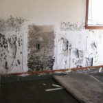 Legal Aspects of Mold Contamination