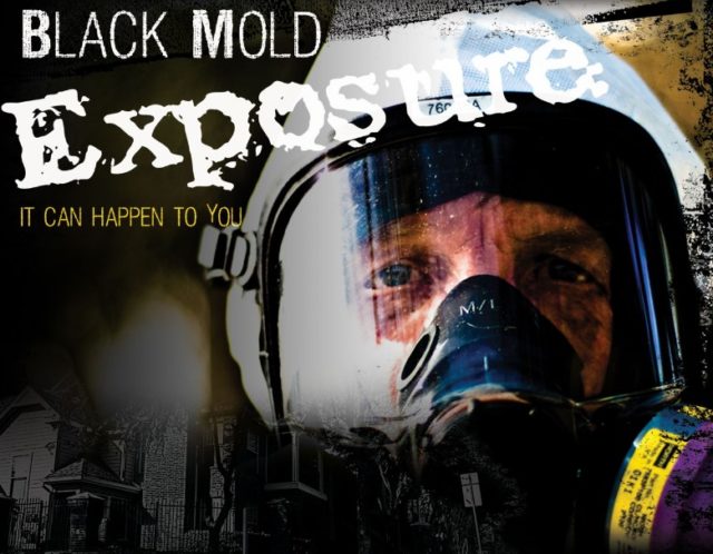 Black Mold Exposure Information