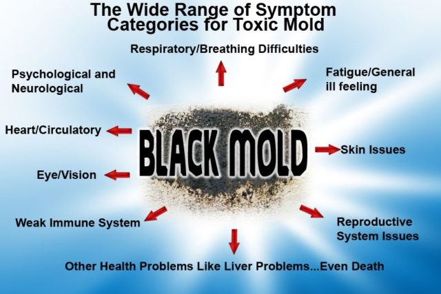 Toxic Black Mold Symptoms, Test, Removal & Health Effects