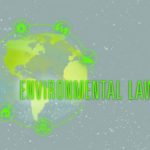 Environmental Lawyer