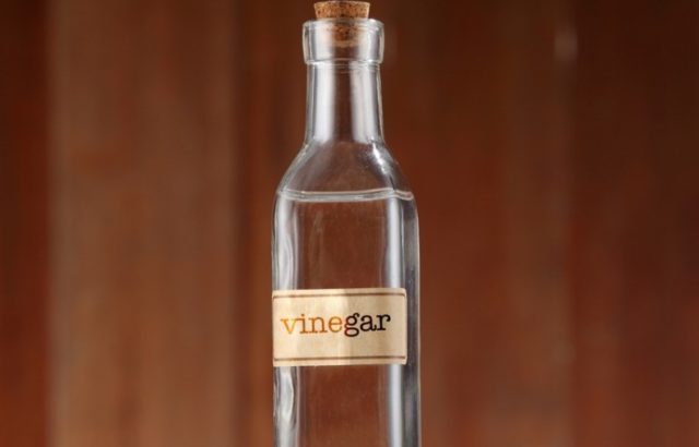 does-vinegar-kill-mold-how-to-get-rid-prevent-mold-from-coming-back