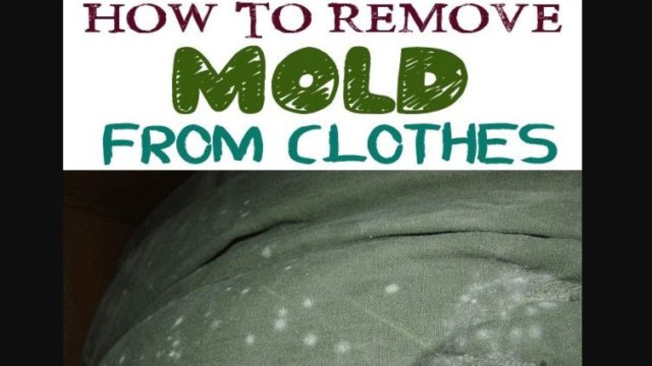 How to Get Mold out of Clothes - Step by Step Guide