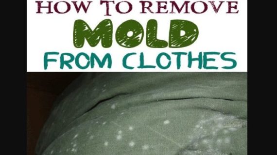 How to Get Mold out of Clothes – Step by Step Guide