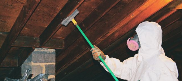 How to Remove Mold in Attic Permanently