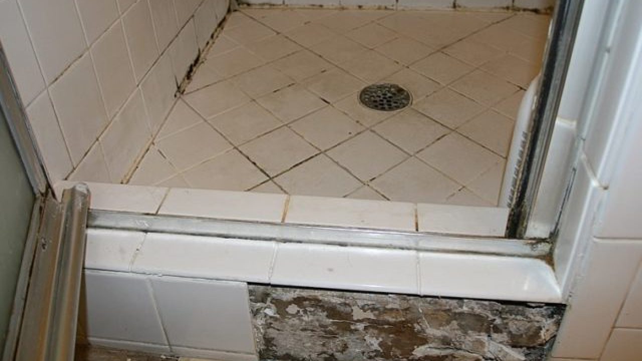 Be Aware of Black Mold in Shower to Save Your Life