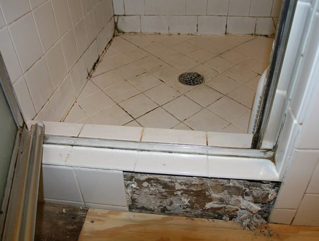 Be Aware Of Black Mold In Shower To Save Your Life - Black Mold In Bathroom Bad For Health