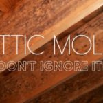 Mold in Attic: How to Stop Attic Mold Growth Permanently