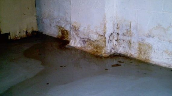 Tips on How to Prevent and Remove Mold in Basement