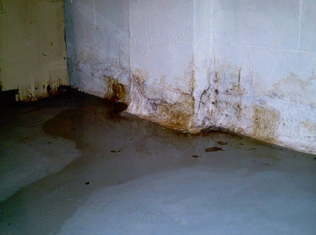 Tips On How To Prevent And Remove Mold, Removing Mold In A Basement