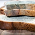 Mold on Bread: Here is What You Need to Know
