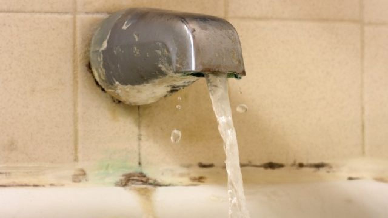 Black Mold In Bathroom Cause Dangers And How To Get Rid Of It