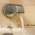 Black Mold in Bathroom: Cause, Dangers, and How to Get Rid of It