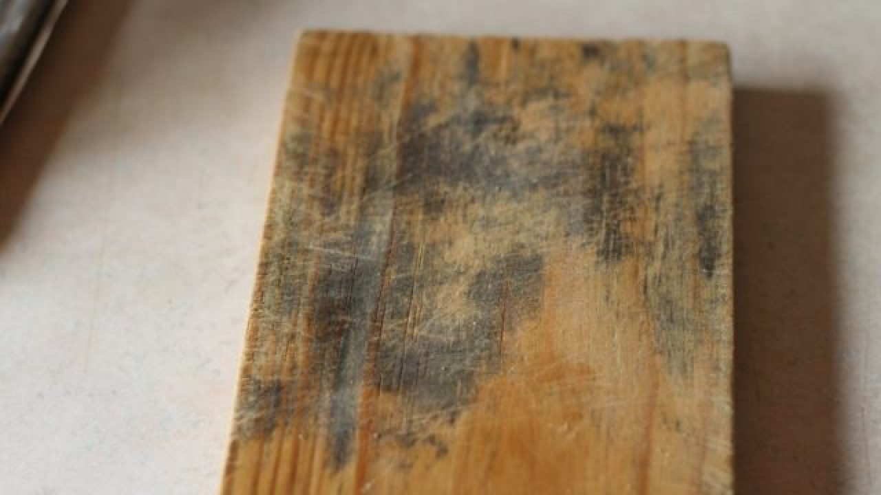 Can You Get Mold Off Of Wood at Earl Bentley blog