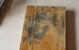 Tips on How to Remove Mold from Wood