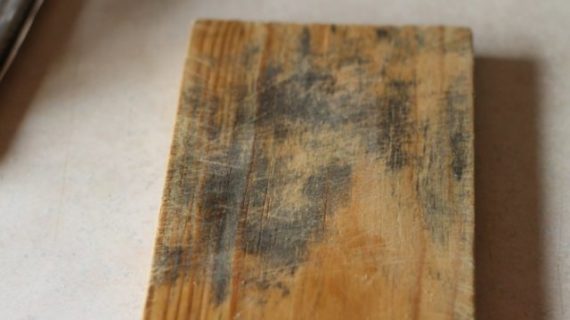 Tips on How to Remove Mold from Wood