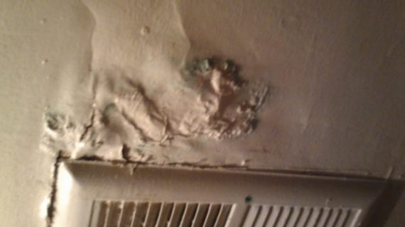 Is It Easy to Remove the Black Mold in Apartment?