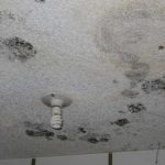 It’s Time to Remove the Stubborn Black Mold in Bathroom Ceiling