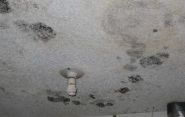 It’s Time to Remove the Stubborn Black Mold in Bathroom Ceiling