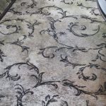 5 Signs You Have Black Mold on Carpet and How to Rid of It