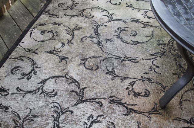 5 Signs You Have Black Mold On Carpet And How To Rid Of It