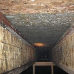 Is It Hard Take Out Mold in Crawl Space?
