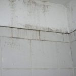 A Handful of Ways to Remove Mold on bathroom walls