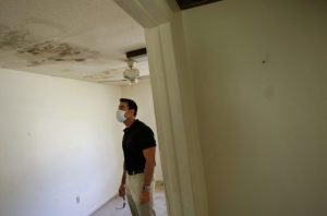 Prior Knowledge You Need to Have about Black Mold Test