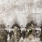 Easy Steps to Discard Black Mold on Concrete